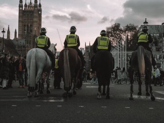 Increasing Parliament’s Control Over UK Immigration