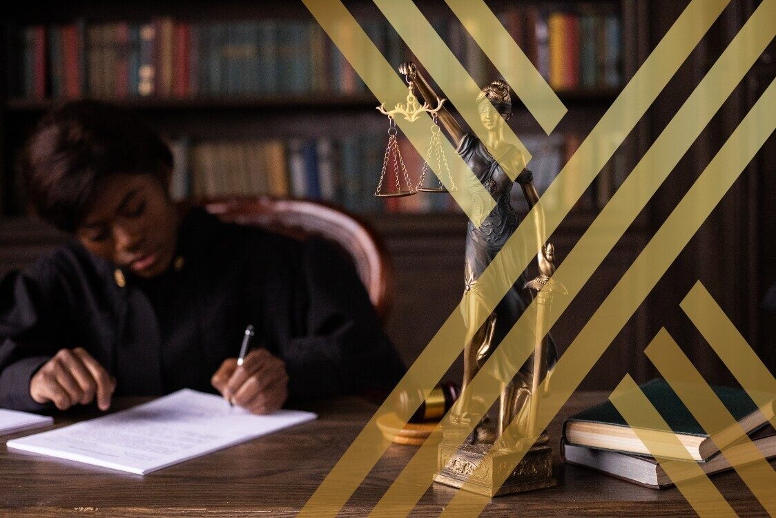 This image is showing a civil litigation lawyer working in chamber