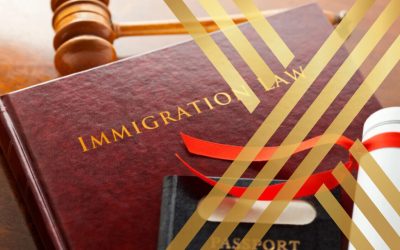 A red Immigration Law textbook next to a passport and a judge’s gavel, representing the legal framework for EU settlement scheme changes and UK visa requirements.