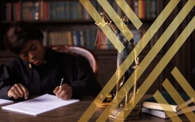 This image is showing a civil litigation lawyer working in chamber